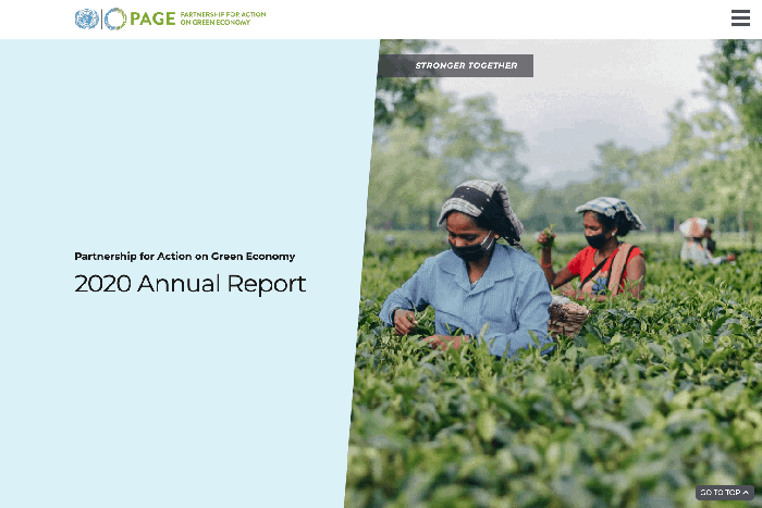 2020 PAGE Annual Report homepage