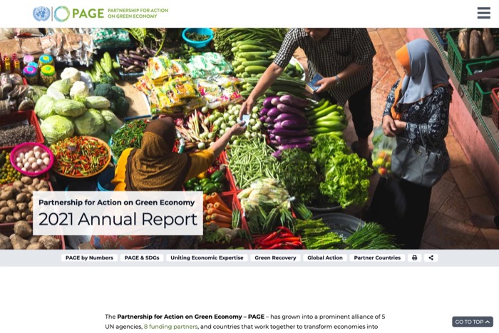 2021 PAGE Annual Report homepage